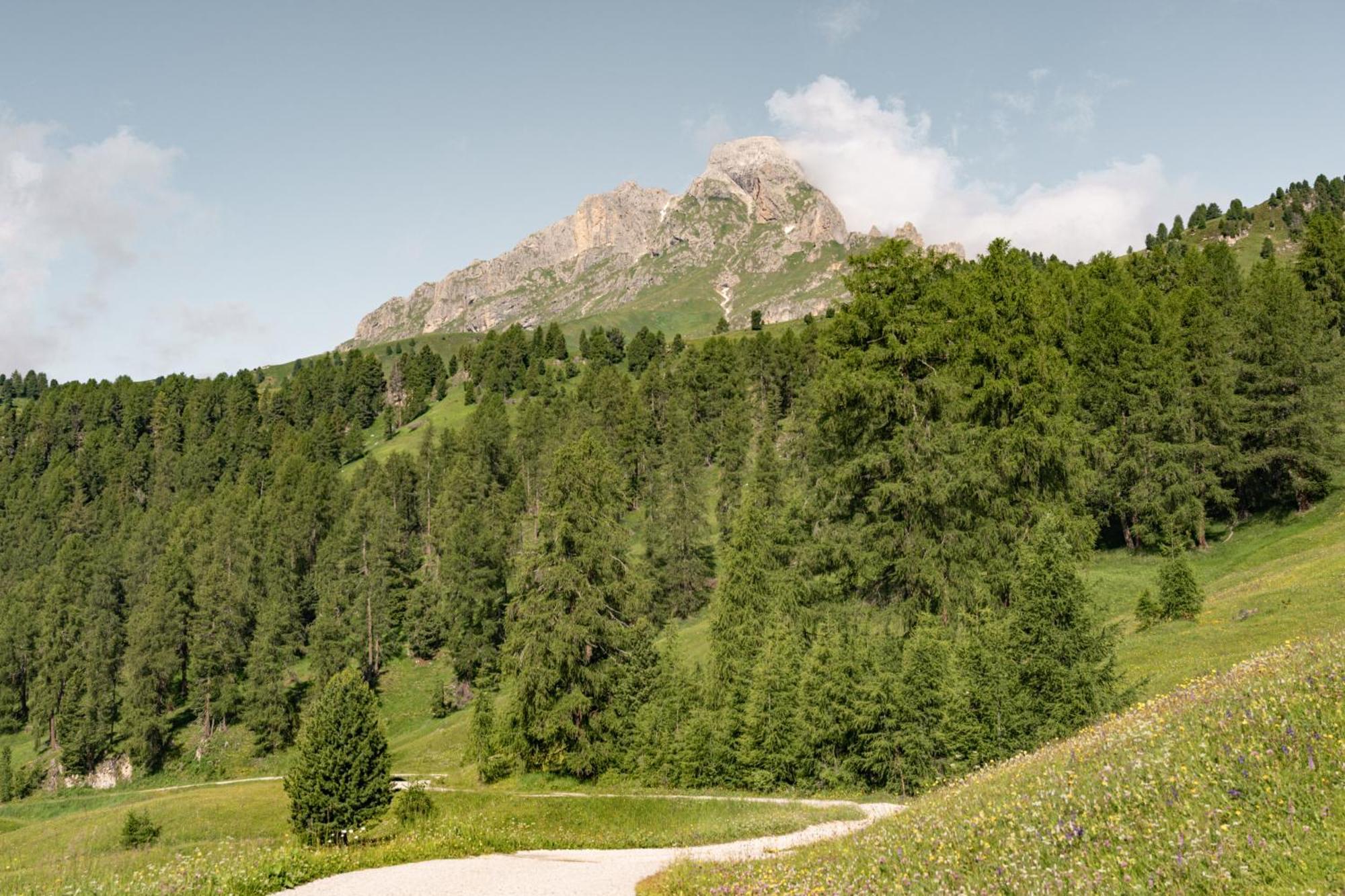 Ciasa Iachin - Dolomites Dream Retreat Apartment San Martino in Badia Ngoại thất bức ảnh
