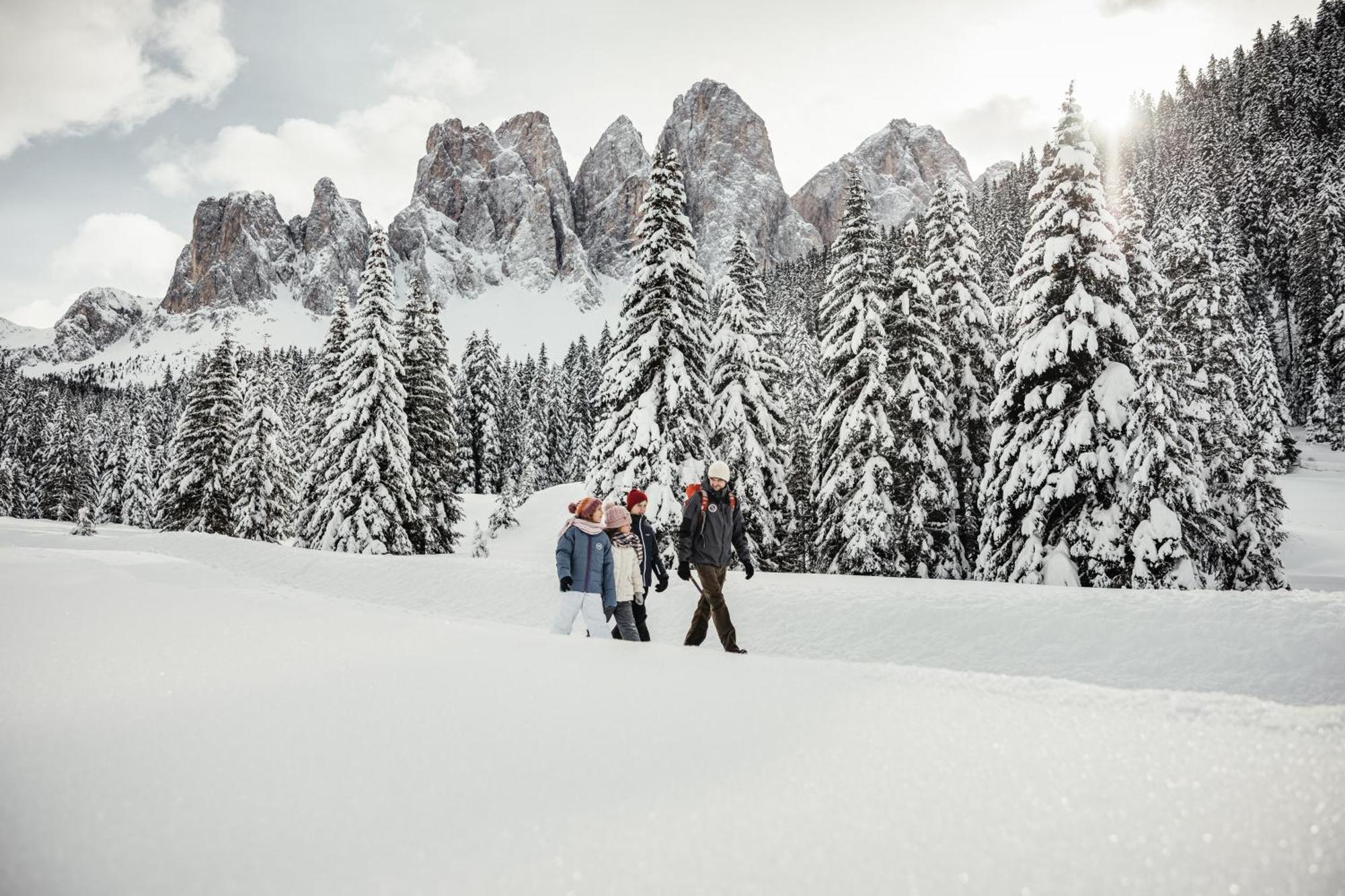 Ciasa Iachin - Dolomites Dream Retreat Apartment San Martino in Badia Ngoại thất bức ảnh