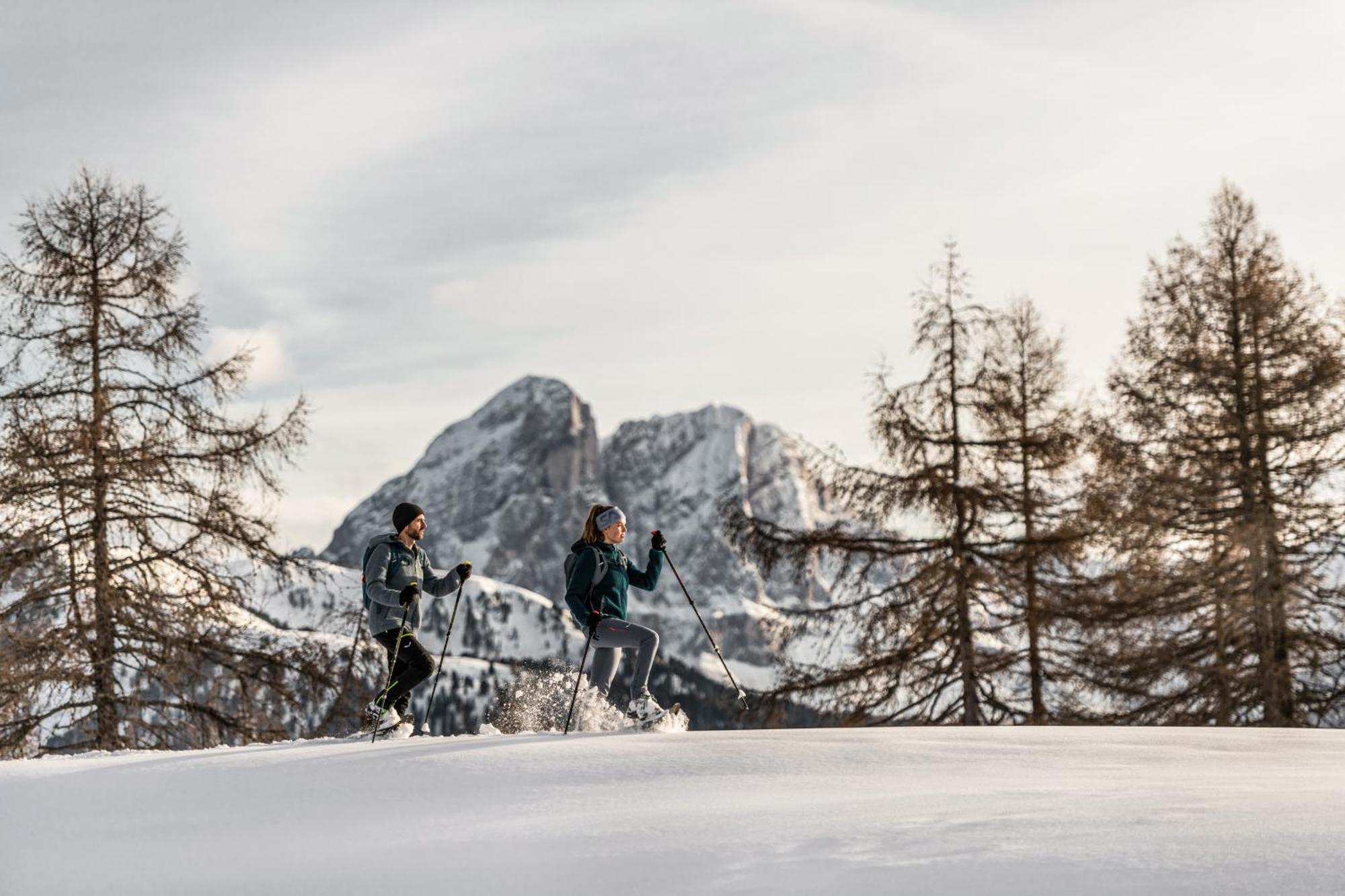 Ciasa Iachin - Dolomites Dream Retreat Apartment San Martino in Badia Ngoại thất bức ảnh