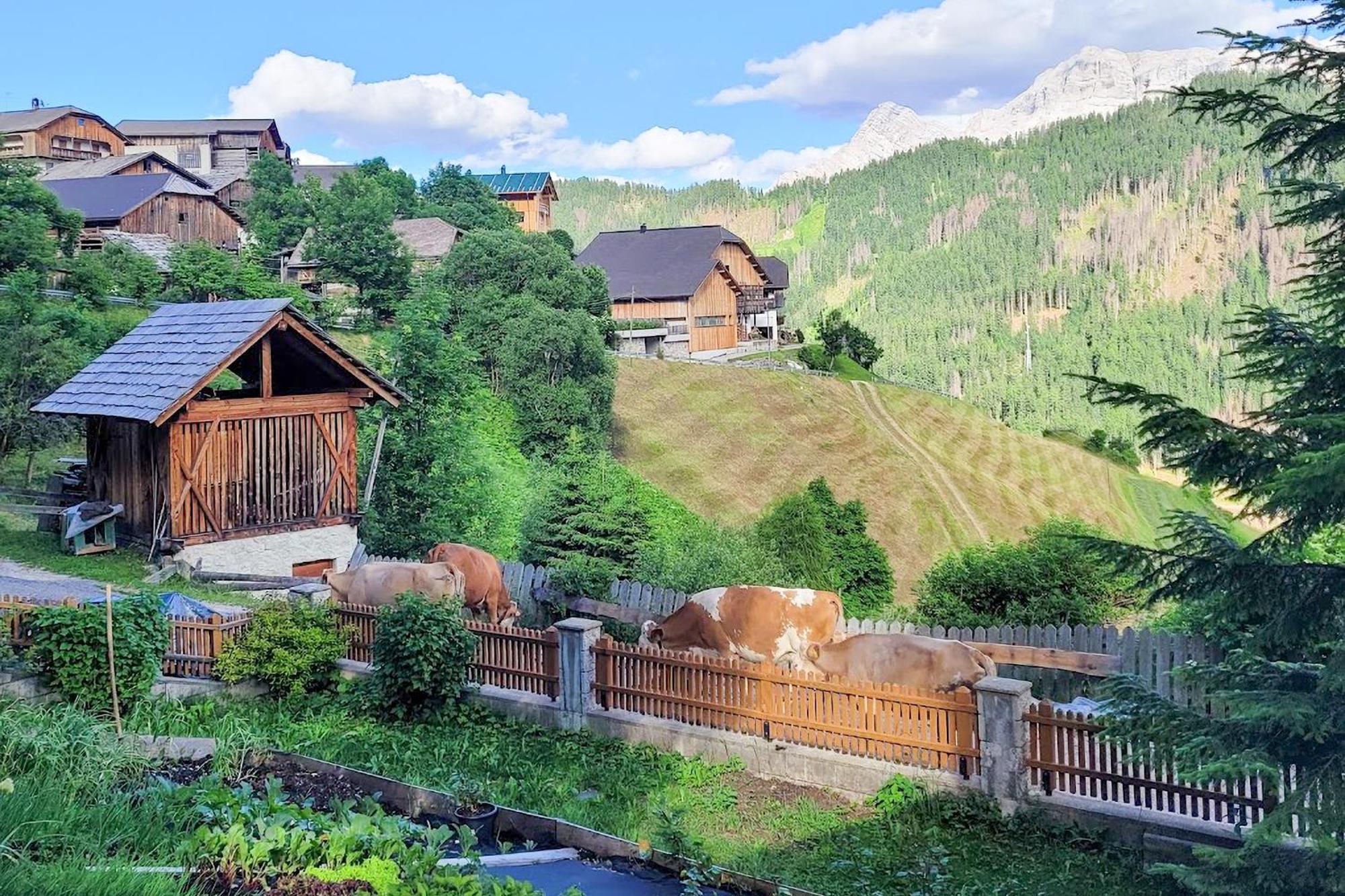 Ciasa Iachin - Dolomites Dream Retreat Apartment San Martino in Badia Ngoại thất bức ảnh