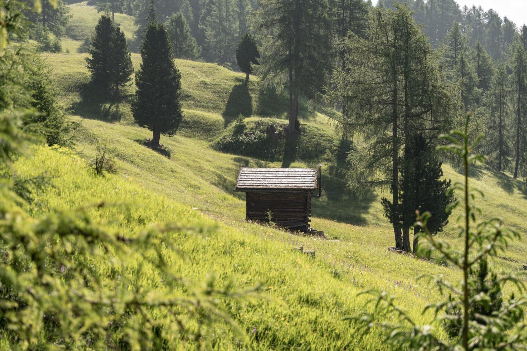 Ciasa Iachin - Dolomites Dream Retreat Apartment San Martino in Badia Ngoại thất bức ảnh