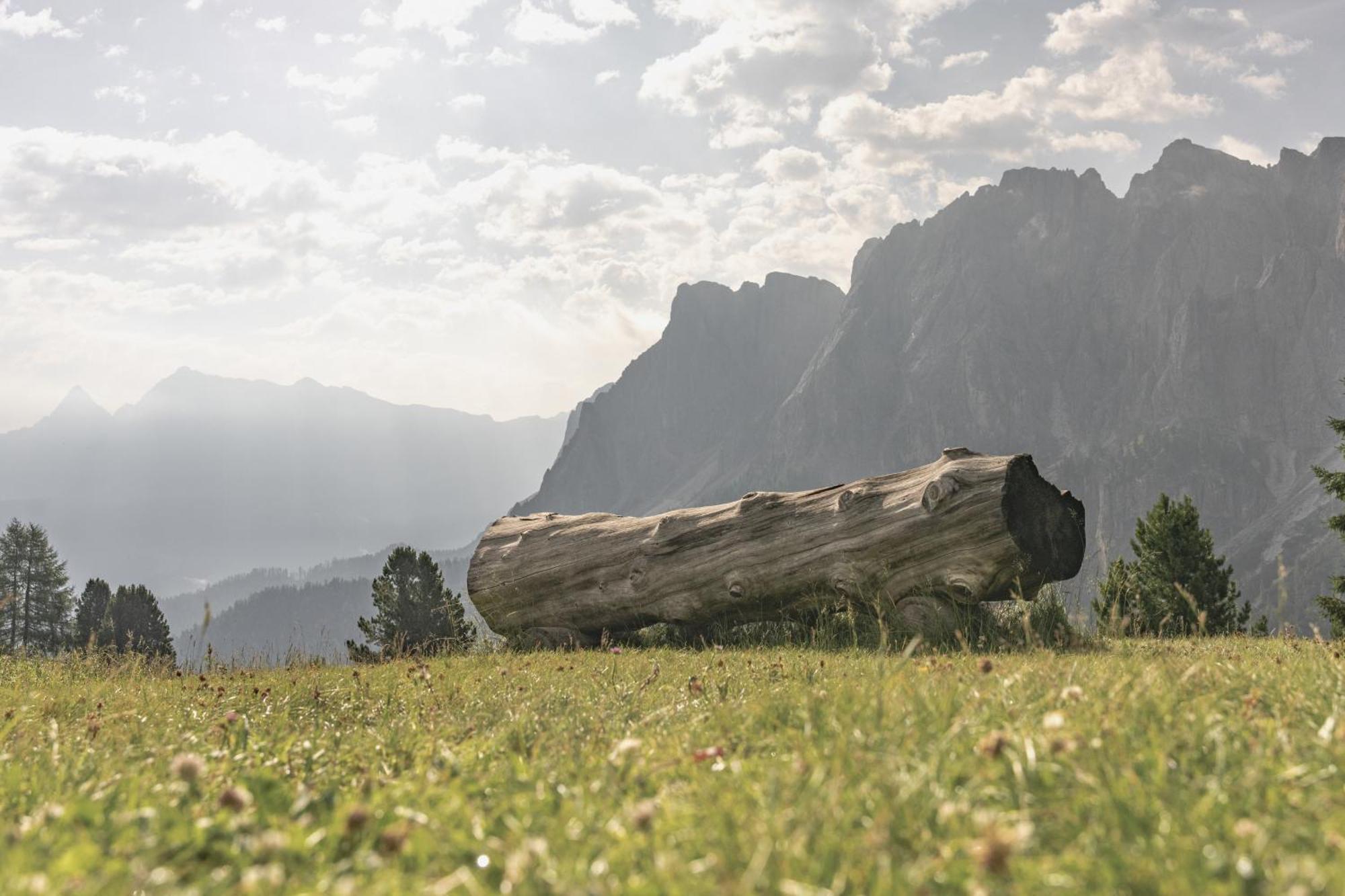 Ciasa Iachin - Dolomites Dream Retreat Apartment San Martino in Badia Ngoại thất bức ảnh