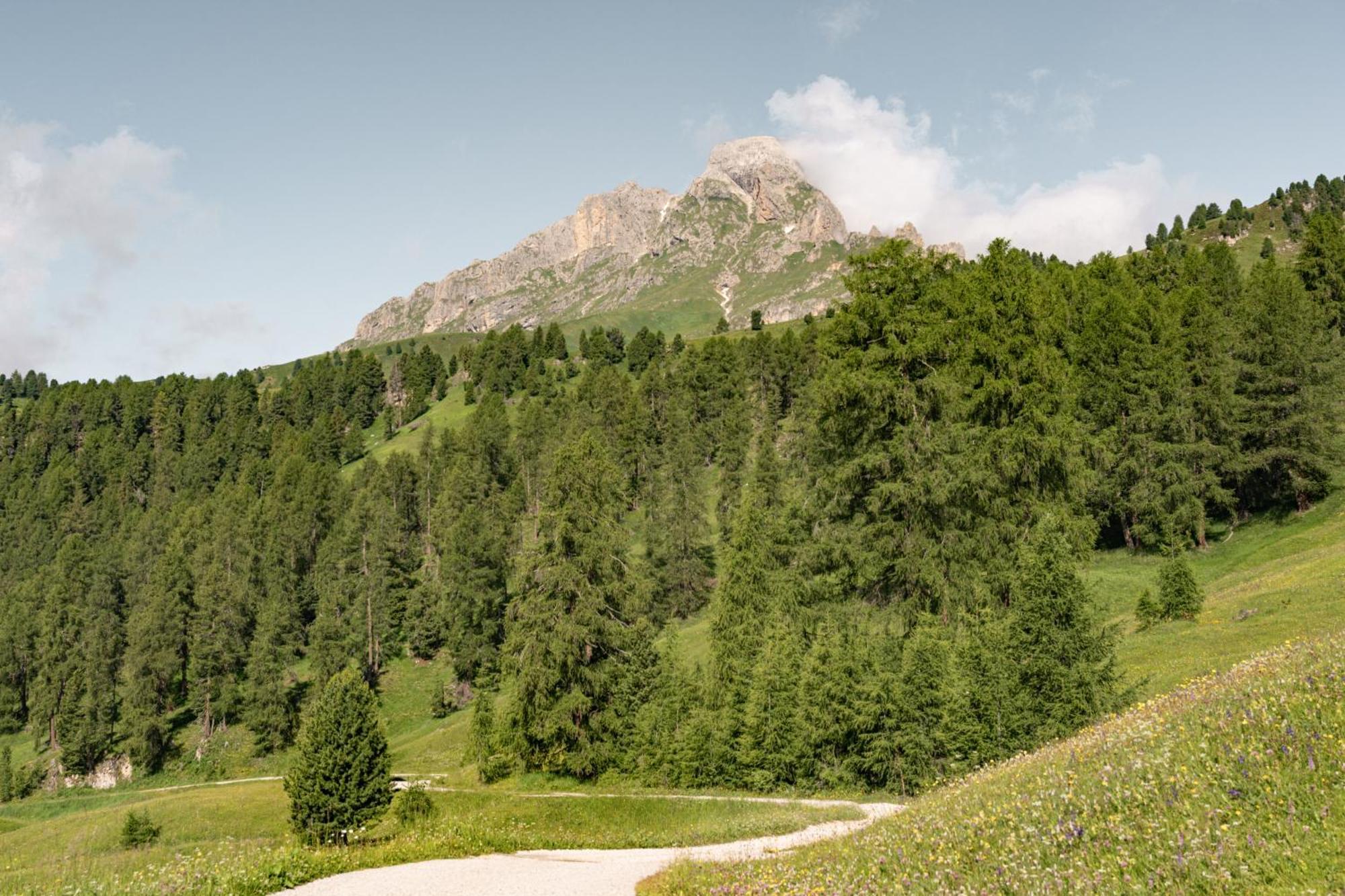 Ciasa Iachin - Dolomites Dream Retreat Apartment San Martino in Badia Ngoại thất bức ảnh