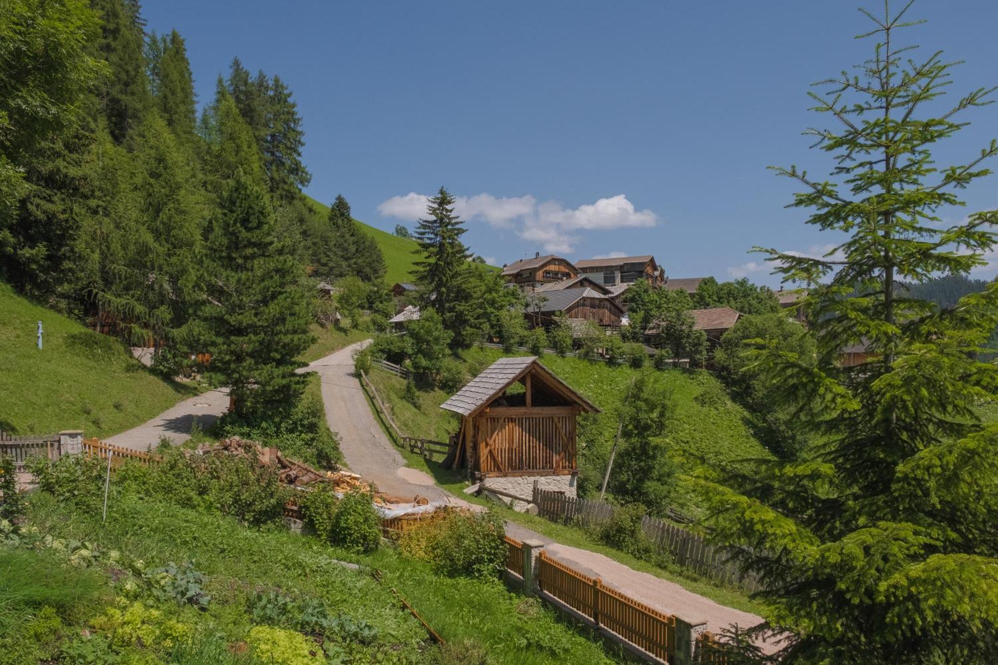 Ciasa Iachin - Dolomites Dream Retreat Apartment San Martino in Badia Ngoại thất bức ảnh