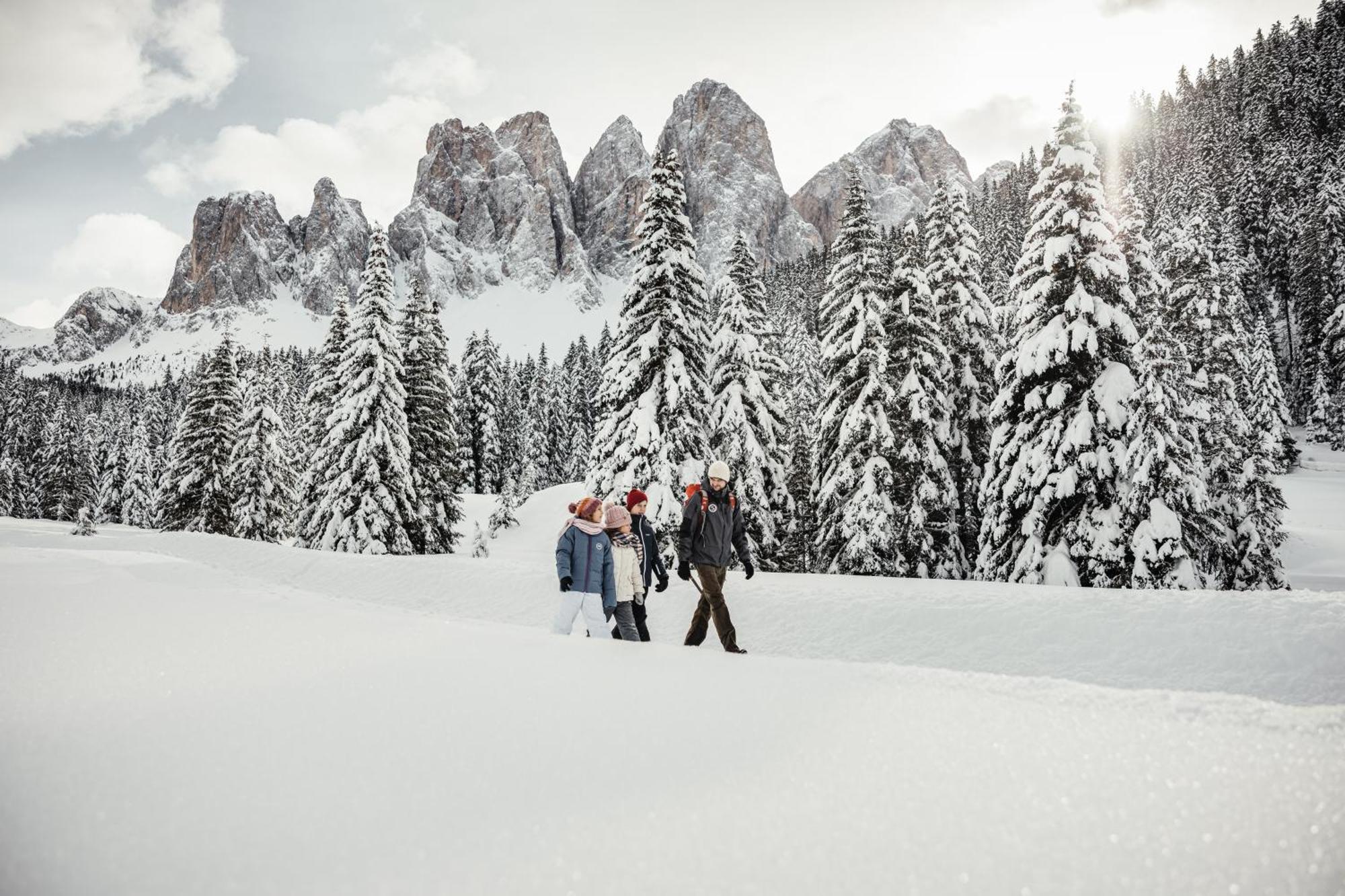 Ciasa Iachin - Dolomites Dream Retreat Apartment San Martino in Badia Ngoại thất bức ảnh